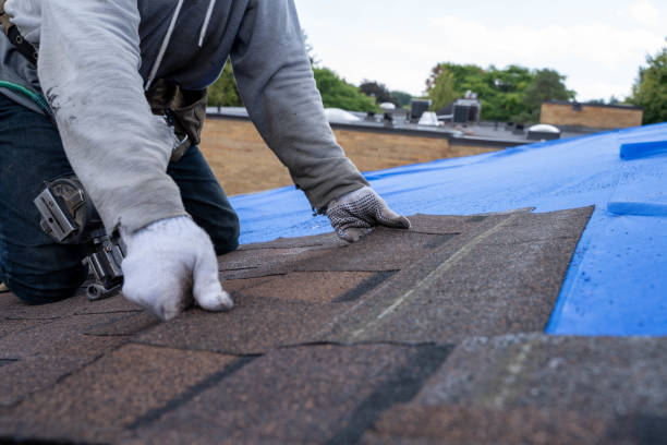 Best Roof Ventilation Installation  in Crestwood, MO